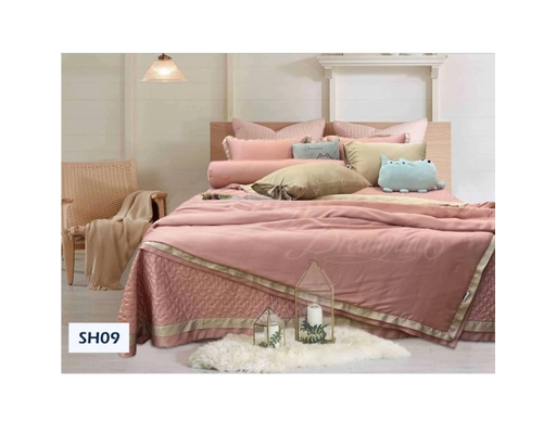 Bộ Ga Phủ Chăn 4 Mùa Tencel Luxury 180x200cm Dreamland ảnh 1