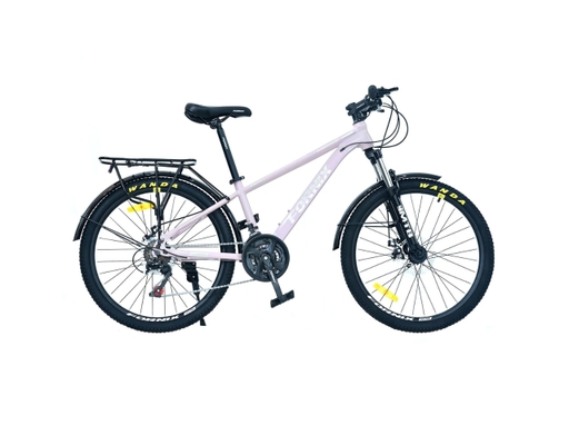 Xe Đạp Địa Hình 24 Inch KM24 Màu Xám-Bạc Fornix ảnh 0