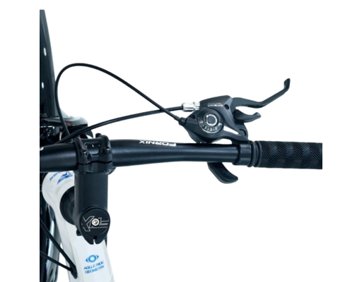 Xe Đạp Địa Hình 24 Inch KM24 Màu Xám-Bạc Fornix ảnh 1