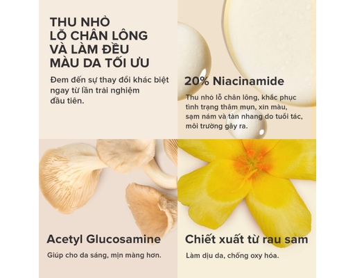Tinh Chất Thu Nhỏ Lỗ Chân Lông Tối Ưu Clinical Niacinamide 20% Treatment 20ml Paula's Choice ảnh 2