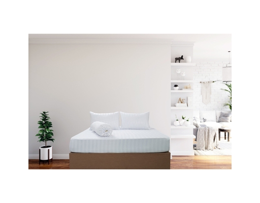 Tấm Drap Và Áo Gối Sọc Màu 160x200cm MYM ảnh 1