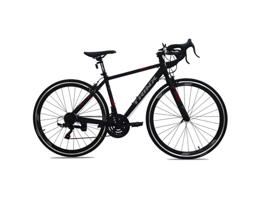 Xe Đạp Đua 700C Tempo 1.0 Y2024 Trinx ảnh 0