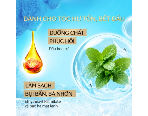 Dầu Gội Phục Hồi Sạch Dầu Mát Lạnh Premium Cool & Repair Shampoo 450ml TSUBAKI ảnh 2