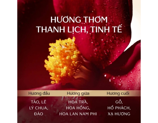 Dầu Gội Phục Hồi & Bồng Bềnh Premium Volume & Repair Shampoo 450ml TSUBAKI ảnh 3