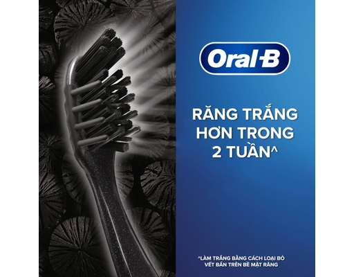 Vỉ 3 Bàn Chải Đánh Răng Than Hoạt Tính Cross Action Charcoal Oral-B ảnh 5