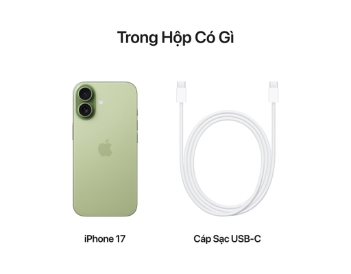 Điện Thoại Di Động iPhone 17 256GB Màu Xanh Lá Xô Thơm/ Sage MG6N4ZP/A Apple ảnh 7