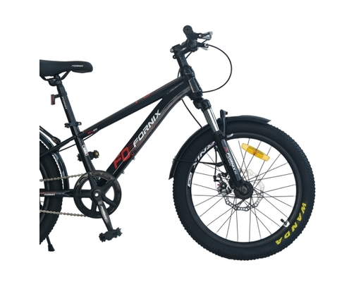 Xe Đạp Trẻ Em 20 Inch MX20 Màu Đen Đỏ Fornix ảnh 3