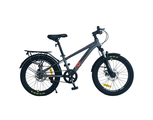 Xe Đạp Trẻ Em 20 Inch MX20 Màu Xám Cam Fornix ảnh 0