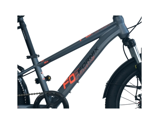 Xe Đạp Trẻ Em 20 Inch MX20 Màu Xám Cam Fornix ảnh 1