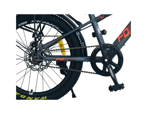 Xe Đạp Trẻ Em 20 Inch MX20 Màu Xám Cam Fornix ảnh 2