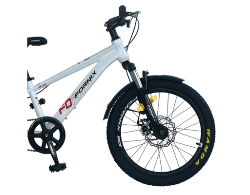 Xe Đạp Trẻ Em 20 Inch MX20 Màu Trắng Đỏ Fornix ảnh 3