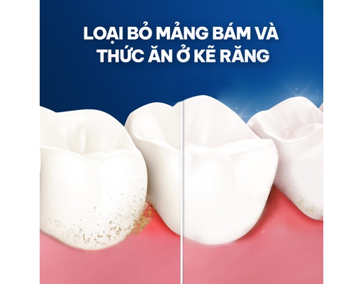 Chỉ Nha Khoa Essential Floss 50m Oral-B ảnh 2