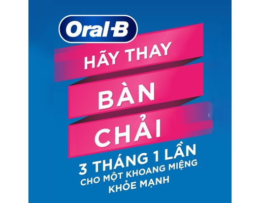 Bàn Chải Đánh Răng Progum Siêu Mềm 5 Cái Oral-B ảnh 2