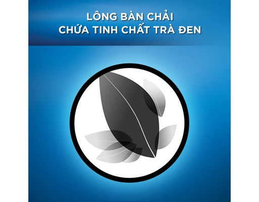 Bàn Chải Đánh Răng Black Tea Gum Care Siêu Mềm Vỉ 5 Cây Oral-B ảnh 3