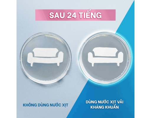 Xịt Vải Hương Đam Mê 370ml Downy ảnh 7