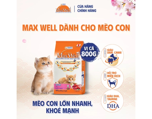 Thức Ăn Dạng Hạt Chăm Sóc Toàn Diện Cho Mèo Con Vị Cá 800g Max Well ảnh 2