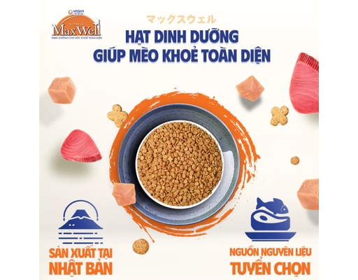Thức Ăn Dạng Hạt Chăm Sóc Toàn Diện Cho Mèo Con Vị Cá 800g Max Well ảnh 4