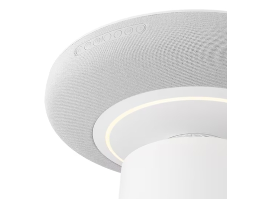 Máy Lọc Không Khí Kết Hợp Loa Bluetooth PuriCare Aerospeaker AS20GSHU0.ABAE LG ảnh 5