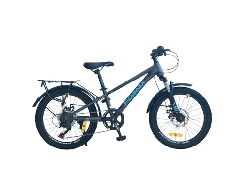 Xe Đạp Trẻ Em 20 Inch HS20 Màu Xám Lá Fornix ảnh 0