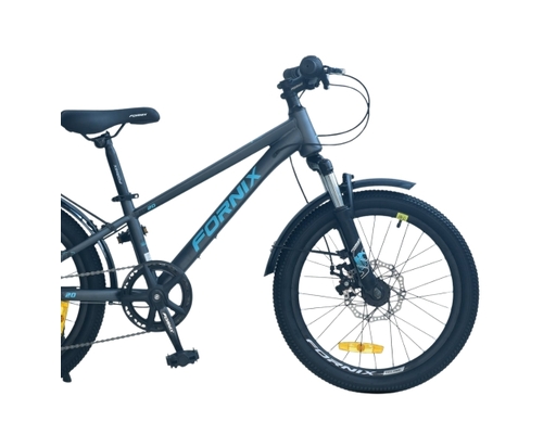 Xe Đạp Trẻ Em 20 Inch HS20 Màu Xám Lá Fornix ảnh 1