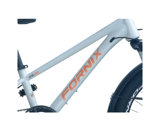 Xe Đạp Trẻ Em 20 Inch HS20 Màu Xám Lá Fornix ảnh 2