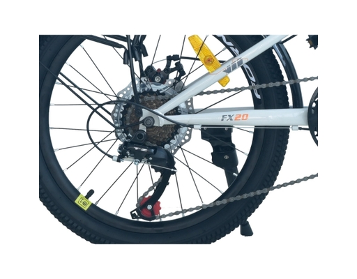 Xe Đạp Trẻ Em 20 Inch HS20 Màu Xám Lá Fornix ảnh 4