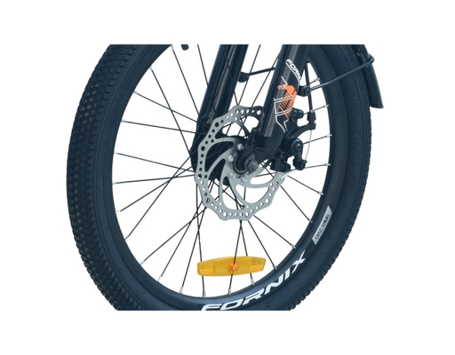 Xe Đạp Trẻ Em 20 Inch HS20 Màu Xám Lá Fornix ảnh 6