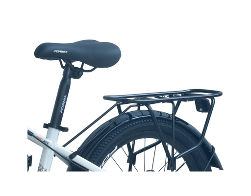 Xe Đạp Trẻ Em 20 Inch HS20 Màu Xám Lá Fornix ảnh 7