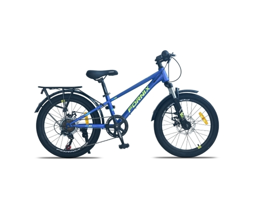 Xe Đạp Trẻ Em 20 Inch HS20 Màu Xanh Vàng Fornix ảnh 0