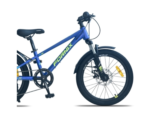 Xe Đạp Trẻ Em 20 Inch HS20 Màu Xanh Vàng Fornix ảnh 1