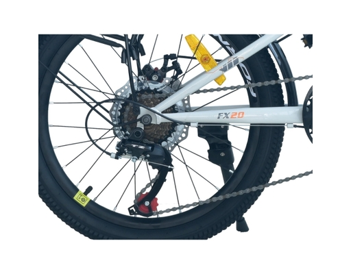 Xe Đạp Trẻ Em 20 Inch HS20 Màu Xanh Vàng Fornix ảnh 4