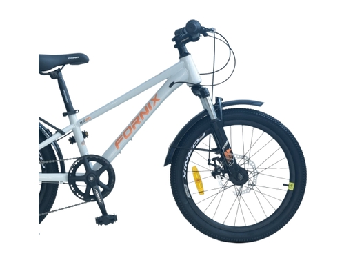 Xe Đạp Trẻ Em 20 Inch HS20 Màu Xám Cam Fornix ảnh 1