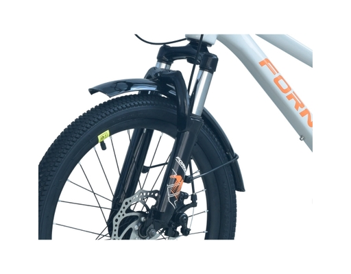 Xe Đạp Trẻ Em 20 Inch HS20 Màu Xám Cam Fornix ảnh 3