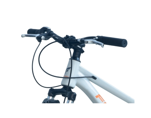 Xe Đạp Trẻ Em 20 Inch HS20 Màu Xám Cam Fornix ảnh 8