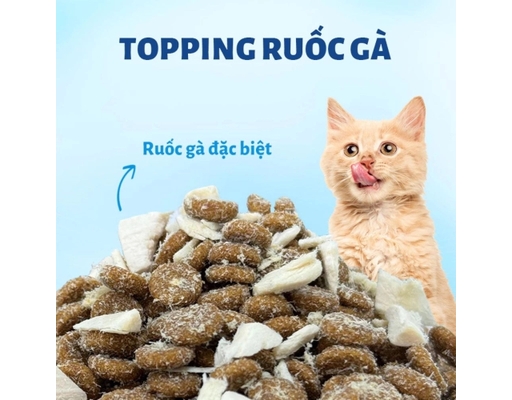 Thức Ăn Dạng Hạt Cho Mèo Vị Cá Ngừ Hỗ Trợ Tiết Niệu Và Tiêu Hóa T3 1kg Mr. Vet ảnh 1