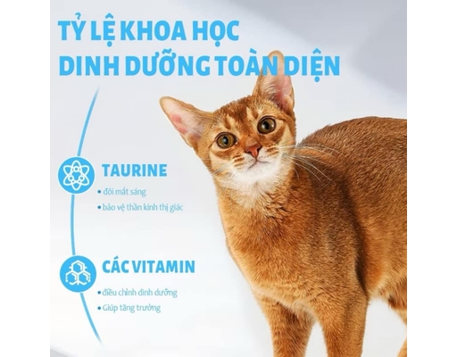 Thức Ăn Dạng Hạt Cho Mèo Vị Cá Ngừ Hỗ Trợ Tiết Niệu Và Tiêu Hóa T3 1kg Mr. Vet ảnh 2