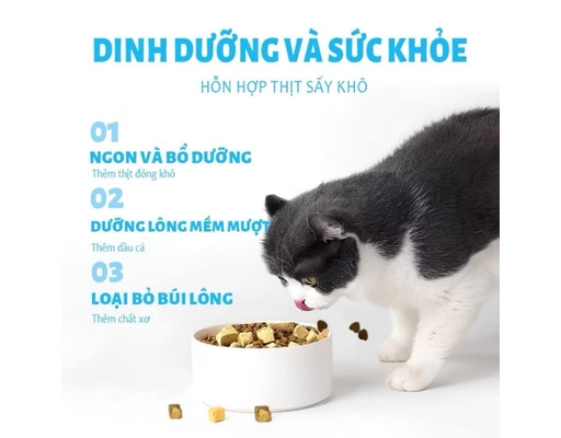 Thức Ăn Dạng Hạt Cho Mèo Vị Cá Ngừ Hỗ Trợ Tiết Niệu Và Tiêu Hóa T3 1kg Mr. Vet ảnh 3