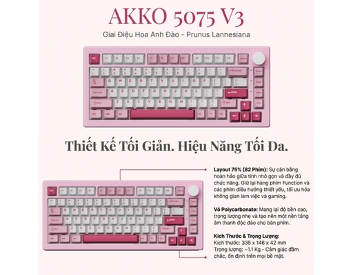 Bàn Phím Cơ Không Dây 5075 V3 Prunus Lannesianat AKKO ảnh 2