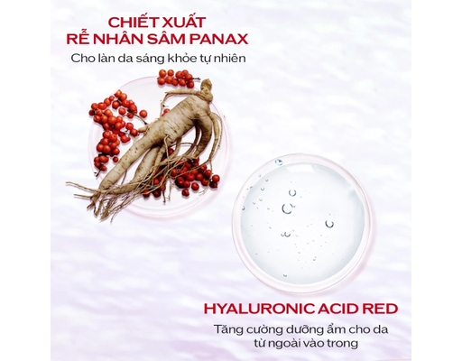 Kem Dưỡng Ẩm Essential Energy Hydrating Cream 50ml SHISEIDO ảnh 2