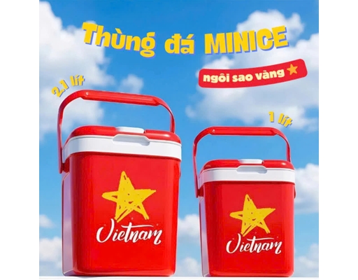 Thùng Đá Minice Dung Tích 2.1L Duy Tân ảnh 7