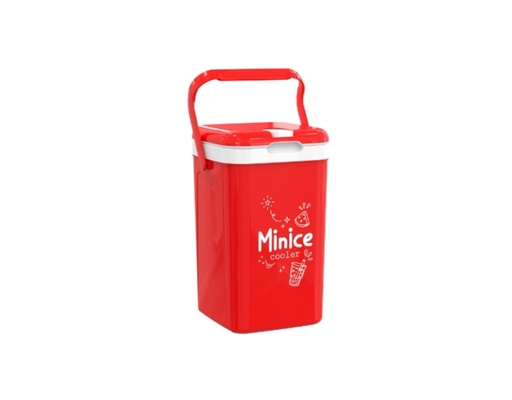 Thùng Đá Minice 3L Duy Tân ảnh 1