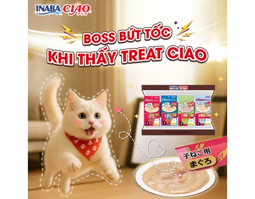 Gói 4 Thanh Súp Thưởng Cho Mèo Trưởng Thành Vị Cá Ngừ, Collagen 14g CIAO ảnh 3