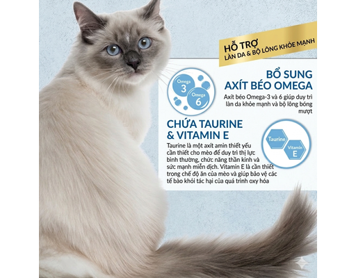 Gói 4 Thanh Súp Thưởng Cho Mèo Skin And Coat Vị Gà & Dầu Cá 14g CIAO ảnh 2