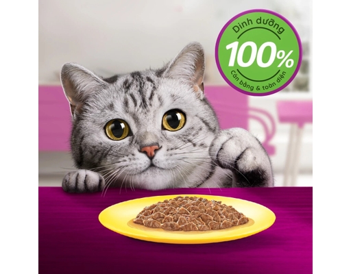 Hộp 6 Gói Pate Cho Mèo Trưởng Thành Vị Cá Ngừ 80g Whiskas ảnh 3