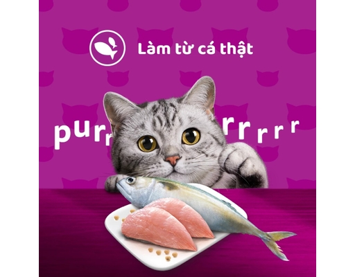 Hộp 6 Gói Pate Cho Mèo Trưởng Thành Vị Cá Ngừ 80g Whiskas ảnh 5