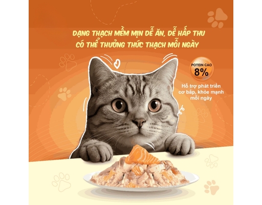 Pate Cho Mèo Từ 2 Tháng Tuổi Vị Cá Hồi & Cá Ngừ 85g Cherman ảnh 4