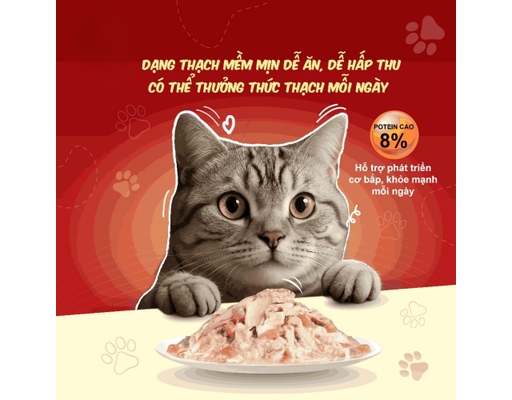 Pate Cho Mèo Từ 2 Tháng Tuổi Vị Cá Ngừ 85g Cherman ảnh 4