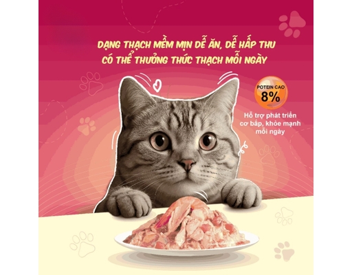 Pate Cho Mèo Từ 2 Tháng Tuổi Vị Tôm & Cá Ngừ 85g Cherman ảnh 4