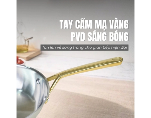 Nồi Inox Aureon Có Nắp 24cm La Gourmet ảnh 4