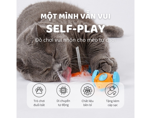 Xe Đua Tương Tác Tự Chạy Kèm Cáp Type C 19cmx5cm FOFOS ảnh 2